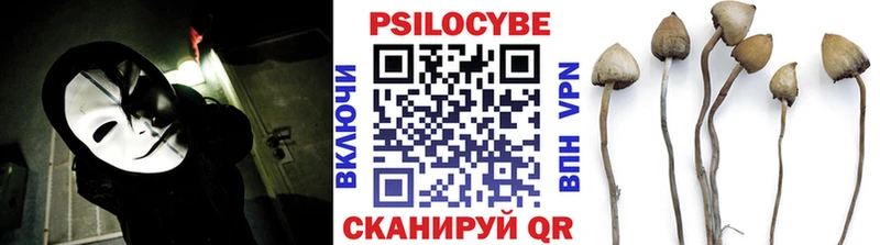 Галлюциногенные грибы Psilocybe  кракен онион  Елизово 